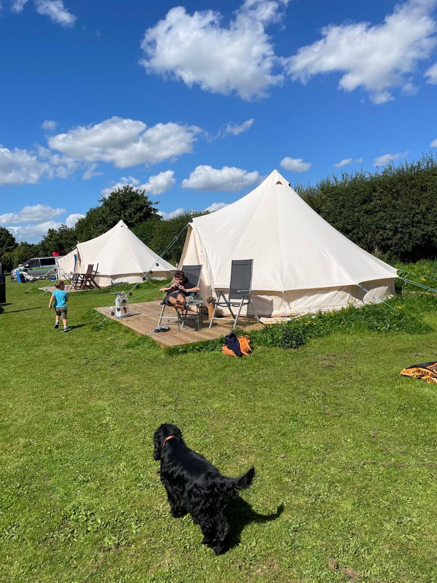 Roe Deer Meadow At Carr House Farm Hotel Scarborough Exterior photo