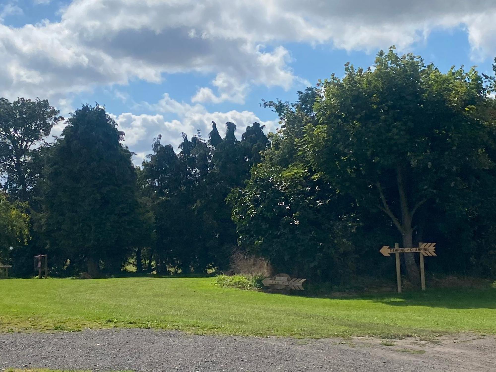 Roe Deer Meadow At Carr House Farm Hotel Scarborough Exterior photo
